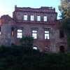 Zamek Siedlisko